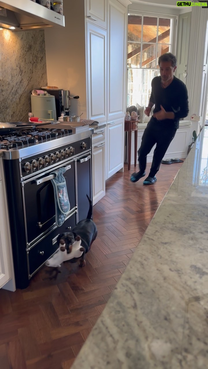 Gino D'Acampo Instagram - A daily occurrence in the D’Acampo household… @iamsnoopdacampo stealing everything!… 🙄 GDx