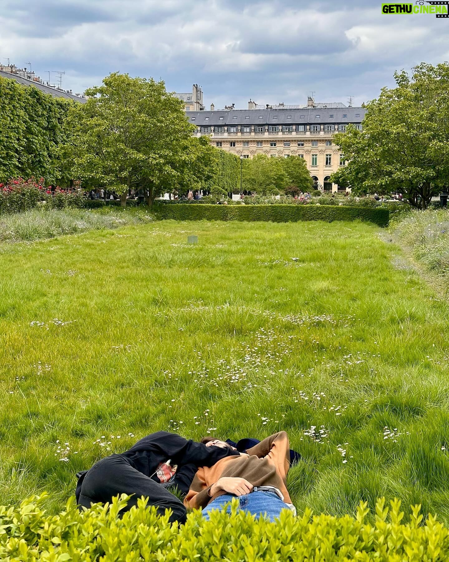Giovana Cordeiro Instagram - Eu tive um déjà vu mon chéri voulez-vous lingerie coq au vin