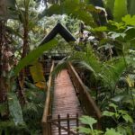Giovana Cordeiro Instagram - Viajar p/ morar em outras casas 🏡🥰