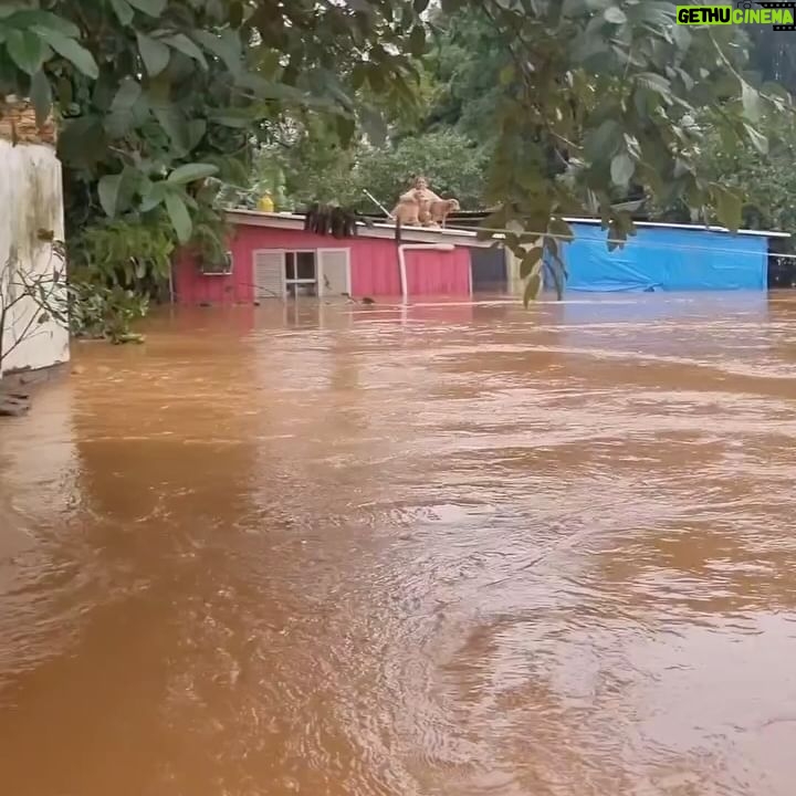 Giovanna Ewbank Instagram - Estou há dias com um nó na garganta que não sai. São dias de muita angústia, tristeza sentimento de impotência e insônia imaginando o sofrimento de todos no Rio Grande Do Sul. Por aqui, estou doando, postando, rezando, ajudando como posso, assim como vários brasileiros nessa corrente de solidariedade. Hoje, quero falar sobre os resgates doas animais. Quero agradecer, parabenizar e pedir ajuda para que as ONGs que estão à frente desse trabalho lindo e tão sofrido, possam continuar. Nenhum ser pode ficar para trás. E tenho também acompanhado o trabalho de todos para que nenhum serzinho fique pra trás desamparado, abandonando com medo, fome e frio. E para que esses anjos possam continuar o seu trabalho que quero pedir ajuda! Eles precisam de ração, água, medicamentos, cobertores entre tantas outras coisas. Muitos animais estão com hipotermia, doentes e precisando de nós! Vou marcar aqui algumas pessoas e ONGs que tem feito um trabalho incrível, sério e seguro. E peço que cada um aqui ajude como puder, qualquer quantia é válida! Juntos somos melhores! AJUDE! 😢🙏🏿❤️ @deisefalci (PIX: deisefalci@gmail.com) @grad_brasil (PIX: 54.465.282/0001-21) @gras.arnaldo (PIX: CNPJ 48.793.976/0001-95) @resgateanimal.grabh (PIX: CNPJ 48.793.976/0001-95) @patologiadoprofaldair