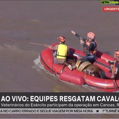 Giovanna Ewbank Instagram - Caramelo, Nos últimos dias o choro estava preso na garganta. E hoje ele veio, solto, frouxo, com um pouco de alívio em meio a tanta dor. Você se tornou símbolo de esperança, resistência, força e amor. O Brasil parou pra te ver e lutar por você porque você tem representado um povo que luta e que resiste. Um povo que não perde as esperanças, que se reergue mesmo parecendo não ter como se reerguer. Um povo onde a humanidade e a generosidade é mais forte do que um país dividido. Caramelo, você significa muito. Você significa a união, o povo e os animais dessa tragedia no Rio Grande do Sul. E mais Caramela, hoje você trouxe uma certeza: Há esperança! ❤️🙏🏿🐴 Espero que você se recupere logo Caramelo. E imagino que muitos devem querer te dar um lar e amor, mas saiba que se você quiser nós aqui em casa também queremos te dar amor e uma lar! 🥹