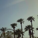 Gisselle Kuri Instagram - #coachella