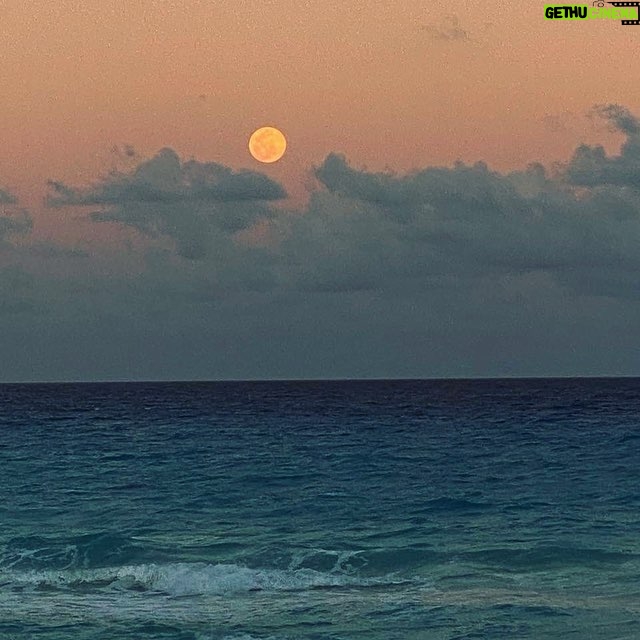 Gisselle Kuri Instagram - Recuerditos del mar. 🌊🐋🐚🫀✨