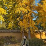 Gisselle Kuri Instagram – El domingo fui a Japón, pero no era Japón jeje. Algún día de estos iré al de a deveras 🤞🏻. Por lo pronto, esto fue una probadita deliciosa. 
Tqm LA, y a ti más otoño 🍂🫰🏻.