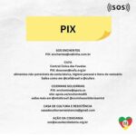 Giulia Nassa Instagram - VOCÊ FAZ A DIFERENÇA!! Contribua com o que vc puder, o Rio Grande Do Sul precisa da nossa ajuda! “Você nunca saberá quantas vidas ajudou, mas elas saberão!” Bora? Infos acima! 👆🏻 💚❤️💛