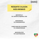 Giulia Nassa Instagram - VOCÊ FAZ A DIFERENÇA!! Contribua com o que vc puder, o Rio Grande Do Sul precisa da nossa ajuda! “Você nunca saberá quantas vidas ajudou, mas elas saberão!” Bora? Infos acima! 👆🏻 💚❤️💛
