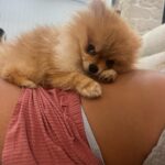 Giuseppa Ciurleo Instagram - Un « petit » 😅 résumé de mes 3 derniers mois… pour tout vous dire qui n’ont pas été comme le résume les photos car comme vous le savez sur les réseaux tout paraît plus beau que ça en a l’air 🤍 mais j’ai appris que j’étais enceinte très tôt j’étais a 15 jours à peine, et nous nous y attendions pas du tout, c’était une surprise (la plus belle surprise du monde) mais pour être honnête quand je l’ai su j’ai pleurer sans savoir de quel larmes il s’agissait mais je dirais aujourd’hui beaucoup de doute sur moi même et c’est ce jour là que je me suis rendu compte à quel point j’avais peur de la vie en général et que finalement j’ai toujours laisser paraître que j’étais forte et que rien ne pouvais me faire douter de qui j’étais ainsi que mes capacités à être déterminées à réussir dans la vie et surmonter n’importe quelle épreuve mais quand j’ai su que je porter la vie j’ai absolument tout remis en question, mes valeurs, ma stabilité psychologique, ou même dans ma vie en général, mon âge, mes capacités, je ne me sentais plus que toute petite comme ci qu’en une fraction de seconde je n’étais plus que l’ombre de moi même, je ne savais pas si tout simplement j’allais pouvoir un jour être une maman et pouvoir aimer d’une manière inconditionnelle j’avais si peur car je voulais juste être à la hauteur je savais que malgré tout c’était une évidence car je ne voulais absolument pas quitter ce bébé quitter mon bébé ! Je le voulais plus que tout meme si j’avais tout ces doutes, toute ces peurs.. et aujourd’hui j’ai grandis encore en 3 mois ma façon de voir les choses a complètement changer, ma manière de percevoir l’avenir, ou même avec les gens autour de moi tout est différent car plus rien a autant d’importance que ce petit être qui grandis en moi … je n’aurais jamais penser vouloir maintenant tout de suite mon enfant plus que tout au monde mais mon instinct maternelle m’a fait changer en bien et je suis fière aujourd’hui de me savoir futur maman jeune à 22 ans et percevoir la vie autrement avoir une vrai raison de vivre et tout simplement donner un sens à notre vie ❤️ je t’aime mon petit être qui grandis si vite ✨ (je chiale comme une madeleine quand j’écris ce texte) 😂