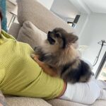 Giuseppa Ciurleo Instagram - Un « petit » 😅 résumé de mes 3 derniers mois… pour tout vous dire qui n’ont pas été comme le résume les photos car comme vous le savez sur les réseaux tout paraît plus beau que ça en a l’air 🤍 mais j’ai appris que j’étais enceinte très tôt j’étais a 15 jours à peine, et nous nous y attendions pas du tout, c’était une surprise (la plus belle surprise du monde) mais pour être honnête quand je l’ai su j’ai pleurer sans savoir de quel larmes il s’agissait mais je dirais aujourd’hui beaucoup de doute sur moi même et c’est ce jour là que je me suis rendu compte à quel point j’avais peur de la vie en général et que finalement j’ai toujours laisser paraître que j’étais forte et que rien ne pouvais me faire douter de qui j’étais ainsi que mes capacités à être déterminées à réussir dans la vie et surmonter n’importe quelle épreuve mais quand j’ai su que je porter la vie j’ai absolument tout remis en question, mes valeurs, ma stabilité psychologique, ou même dans ma vie en général, mon âge, mes capacités, je ne me sentais plus que toute petite comme ci qu’en une fraction de seconde je n’étais plus que l’ombre de moi même, je ne savais pas si tout simplement j’allais pouvoir un jour être une maman et pouvoir aimer d’une manière inconditionnelle j’avais si peur car je voulais juste être à la hauteur je savais que malgré tout c’était une évidence car je ne voulais absolument pas quitter ce bébé quitter mon bébé ! Je le voulais plus que tout meme si j’avais tout ces doutes, toute ces peurs.. et aujourd’hui j’ai grandis encore en 3 mois ma façon de voir les choses a complètement changer, ma manière de percevoir l’avenir, ou même avec les gens autour de moi tout est différent car plus rien a autant d’importance que ce petit être qui grandis en moi … je n’aurais jamais penser vouloir maintenant tout de suite mon enfant plus que tout au monde mais mon instinct maternelle m’a fait changer en bien et je suis fière aujourd’hui de me savoir futur maman jeune à 22 ans et percevoir la vie autrement avoir une vrai raison de vivre et tout simplement donner un sens à notre vie ❤️ je t’aime mon petit être qui grandis si vite ✨ (je chiale comme une madeleine quand j’écris ce texte) 😂