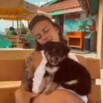 Giuseppa Ciurleo Instagram - Et voilà une nouvelle aventure qui commence pour toi Martin 🥹🌈💕 c’est le départ et on embarque ce petit bouchon d’amour un petit chien abandonné de saint Martin on le ramène pour lui trouver une petite famille, j’avoue qu’on est a deux doigts de craquer mais avec nos 3 chiens à la maison et la petite chouchounette qui arrive on est assez perplexe alors je vous tiens au courant de toutes les avancées pour la nouvelle vie de Martin qui démarre en France 🥹❤️