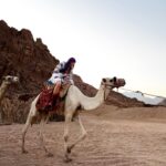 Gizem Karaca Instagram – Evet, bir noktada ‘ Devede de boy var“ esprisi yapıldı… 🐫🏜️🪬🔆