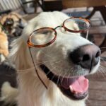 Gizem Karaca Instagram – Summer Update 🫶🏻🌞🌴🐿🤓