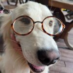 Gizem Karaca Instagram – Summer Update 🫶🏻🌞🌴🐿🤓