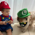 Glenda Loures Instagram - Tentei fazer a foto perfeita do Mário e Luigi, mas impossível colocar uma criança que não para quieta do lado de uma cachorra chata e tentar fazer ficar bom kkkkk • Enfim, fica aí o registro dos 8 meses com a dupla nada dinâmica 😂💙