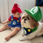 Glenda Loures Instagram - Tentei fazer a foto perfeita do Mário e Luigi, mas impossível colocar uma criança que não para quieta do lado de uma cachorra chata e tentar fazer ficar bom kkkkk • Enfim, fica aí o registro dos 8 meses com a dupla nada dinâmica 😂💙