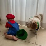 Glenda Loures Instagram - Tentei fazer a foto perfeita do Mário e Luigi, mas impossível colocar uma criança que não para quieta do lado de uma cachorra chata e tentar fazer ficar bom kkkkk • Enfim, fica aí o registro dos 8 meses com a dupla nada dinâmica 😂💙