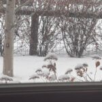Glenn Close Instagram - Finally...SNOW!