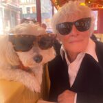 Glenn Close Instagram - It's me, Pip, at Balthazar in Soho with my human...mine are better! #havanese #havaneselovers #havaneseofinstagram #havaneselife #havaneseinglasses #dogsindarkglasses #humanswholookliketheirdogs #dogswholookliketheirowners #ilovemydog #ilovemyhuman