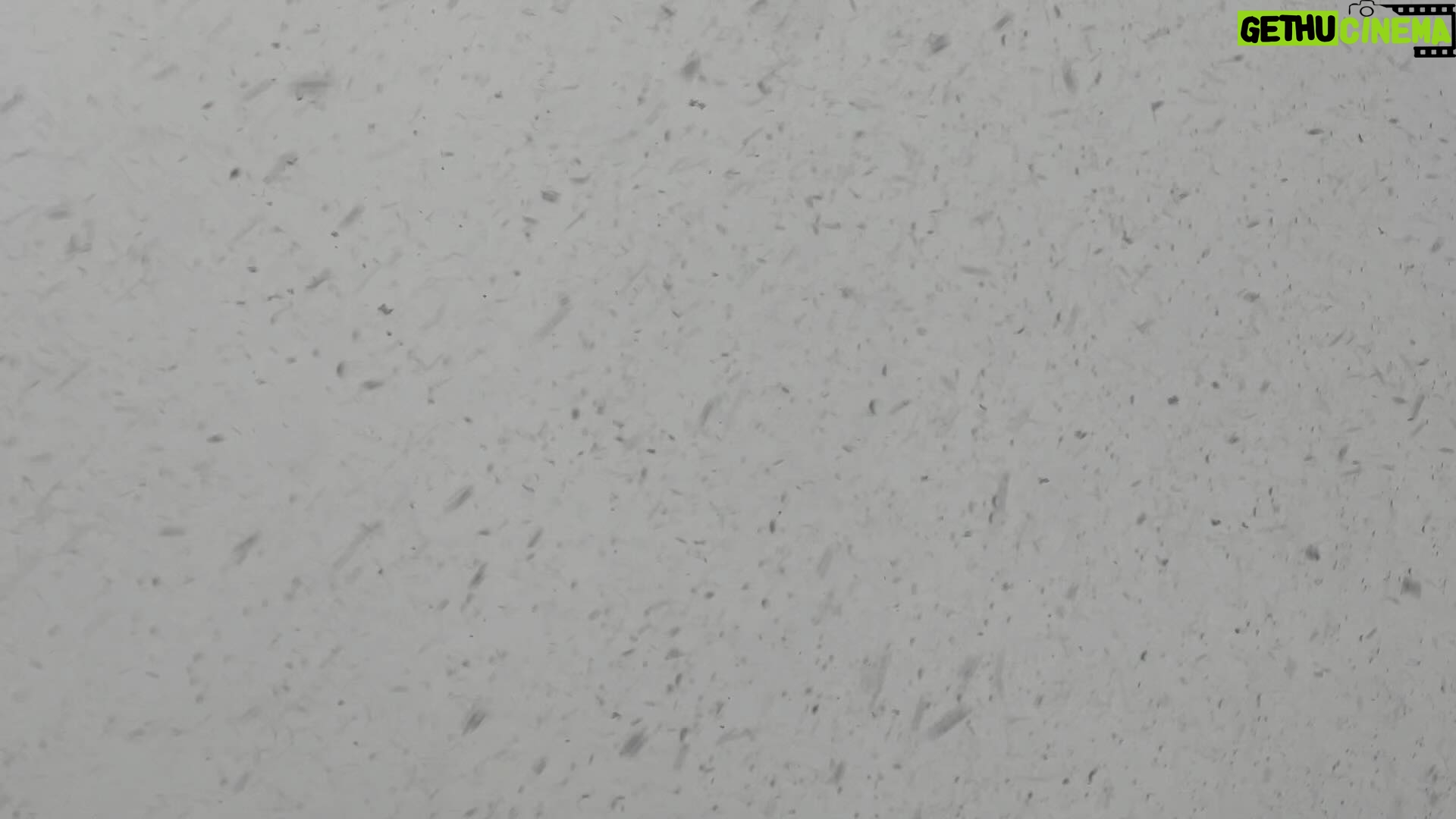 Glenn Close Instagram - Snowing and blowing.