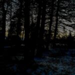Glenn Close Instagram - The woods are lovely, dark and deep. But I have promises to keep, And miles to go before I sleep, And miles to go before I sleep. Excerpt from Robert Frost's Stopping by Woods on a Snowy Evening.