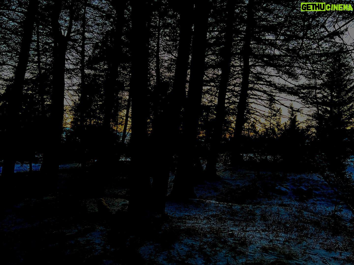 Glenn Close Instagram - The woods are lovely, dark and deep. But I have promises to keep, And miles to go before I sleep, And miles to go before I sleep. Excerpt from Robert Frost's Stopping by Woods on a Snowy Evening.