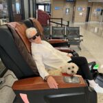 Glenn Close Instagram - Pip and his human on their way HOME after a month away. The snow is finally melting. The bears are awake. I will lie facedown and smell the earth. #springinthemountains mountains #spring #moose #blackbears #havanese #havaneseofinstagram #oliverpeopleseyewear