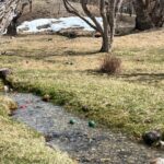 Glenn Close Instagram - Cross Country Bocce. The two green balls in the stream are mine. The two red balls in the stream are Annie's. 😆The two green balls in the distance are my son-in-laws. He of the uncanny hand/eye coordination. WE WON! #bocce