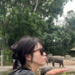 Go Ara Instagram - 🐘💋