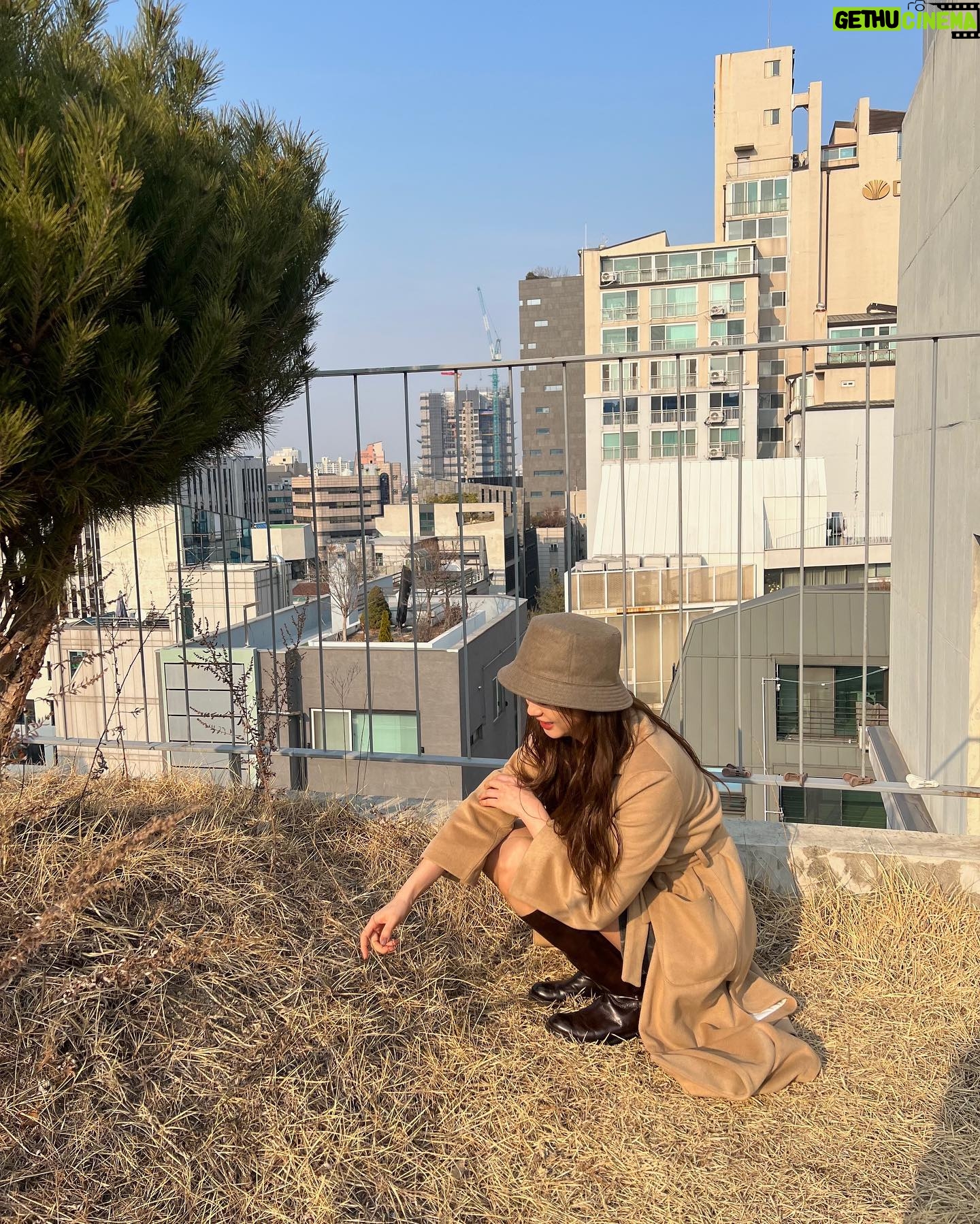 Go Ara - 72.4K Likes - 🧡