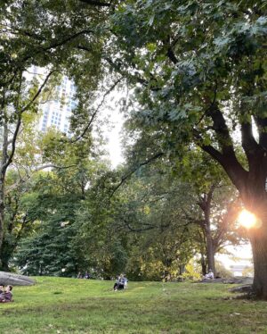 Go Ara Instagram - #centralpark#hi#newyork#happytime#time ♥️💕🎁💕 
#가을 ♥️💕♥️💕