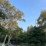 Go Ara Instagram - #centralpark#hi#newyork#happytime#time ♥️💕🎁💕 #가을 ♥️💕♥️💕