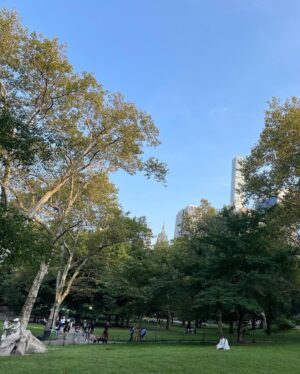 Go Ara Instagram - #centralpark#hi#newyork#happytime#time ♥️💕🎁💕 
#가을 ♥️💕♥️💕