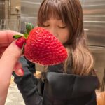 Go Joon-hee Instagram - 2024.02 🍓
