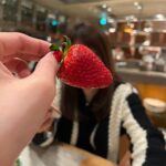 Go Joon-hee Instagram - 2024.02 🍓