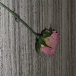 Go Min-si Instagram -