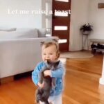 Gohar Kheyrandish Instagram - سلام عزیزانم شب بخیر ... هردم ازاین باغ بری میرسد ... باور میکنید که من تا به امروز فکر میکردم با وجودِ داشتن «سگ» مردم دچار مشکل میشوند .؟ دیگر نمیدانستم داشتن ودیدن تصاویر « گربه »هم مسئله است ! تا اینکه خبر پخش سریال ( ۸۷متر) را از کارگردان فرهیخته کشورم اقای « کیانوش عیاری» خواندم‌ از ایشان خواسته شده است تمام پلانهای « گربه »را در این سریال حذف کنند .آنها برای گرفتن این تصاویر ساعتها وقت گذاشته اند. حتی از آنها خواسته شده است گربه ای هم در خیابان دیده نشود .خدایا از این همه ممیزی های عجیب و غریب به تو پناه میبریم ؛نشان ندادن «زن »در تخت خواب ،نشان ندادن «ساز» ، نشان ندادن «سگ »و حالا هم نشان ندادن «گربه » پ.ن: کارگردان «روزگار غریب» در گفتگویی با اقای « هوشنگ گلمکانی » گفت: کاش تلوزیون بداند بچه هایی که با حیوانات بزرگ میشوند آدمهای بهتری میشوند. البته بنده خودم شاهد بودم که دکترهای روانشناس برای سرگرمی و ارامش افراد سالمند و کودکان‌داشتن گربه و سگ را تجویز می کردند . # فیلم# ۸۷_متر#کیانوش_عیاری # هوشنگ_گلمکانی#کارگردان#کارگردان_سینما #گربه #سگ#سانسور#سینما_نوین
