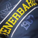Gonca Vuslateri Instagram - Abijim araba bi temizlense iyi olur… Ama maçtan sonra. 👑🛰️💛💙 #fenerbahçe Kombinecilik çok yaşa!🛰️