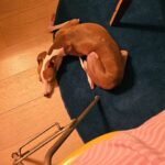 Gong Hyo-jin Instagram – 굿 모닝