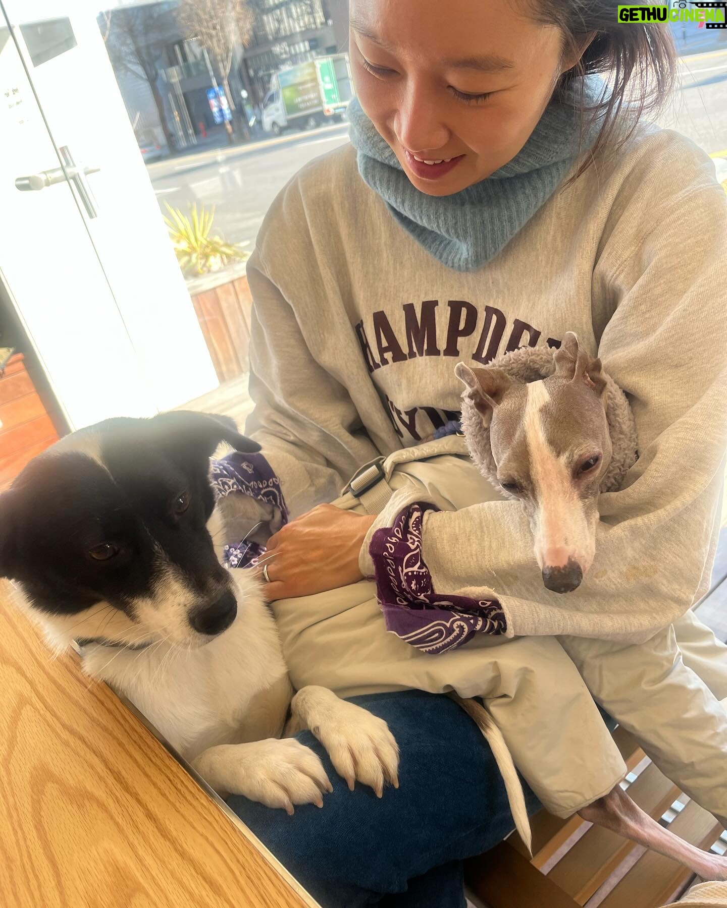 Gong Hyo-jin Instagram - Pet friendly ๐ถ ์์ง์ธ๋๋ค๋นต์ง โ๏ธ ์ด๋ฐ๊ณณ ์ฐธ ๊ทํ๋ค. #avekcheri