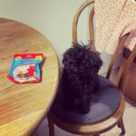 Gong Hyo-jin Instagram -