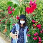 Gong Hyo-jin Instagram - 혜진이 👀 참 크고 이쁘다..
