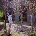 Gong Hyo-jin Instagram - 🧳🌸