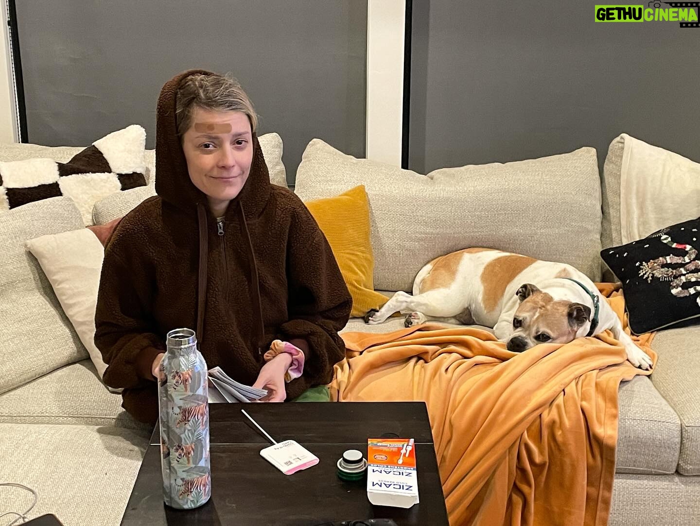 Grace Helbig Instagram - It’s about finding BaLaNcE this year. One day you’re at a beautiful airBnB with your husband and a few days later you’ve slammed your forehead opening your car door and taking a Covid test because you’re slightly congested. Good news is I don’t have Covid …or the urge to cut bangs to hide my forehead. #growth