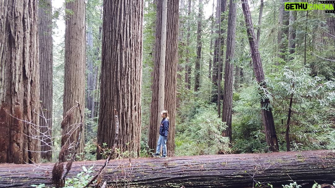 Grace Van Dien Instagram - fairy dancing