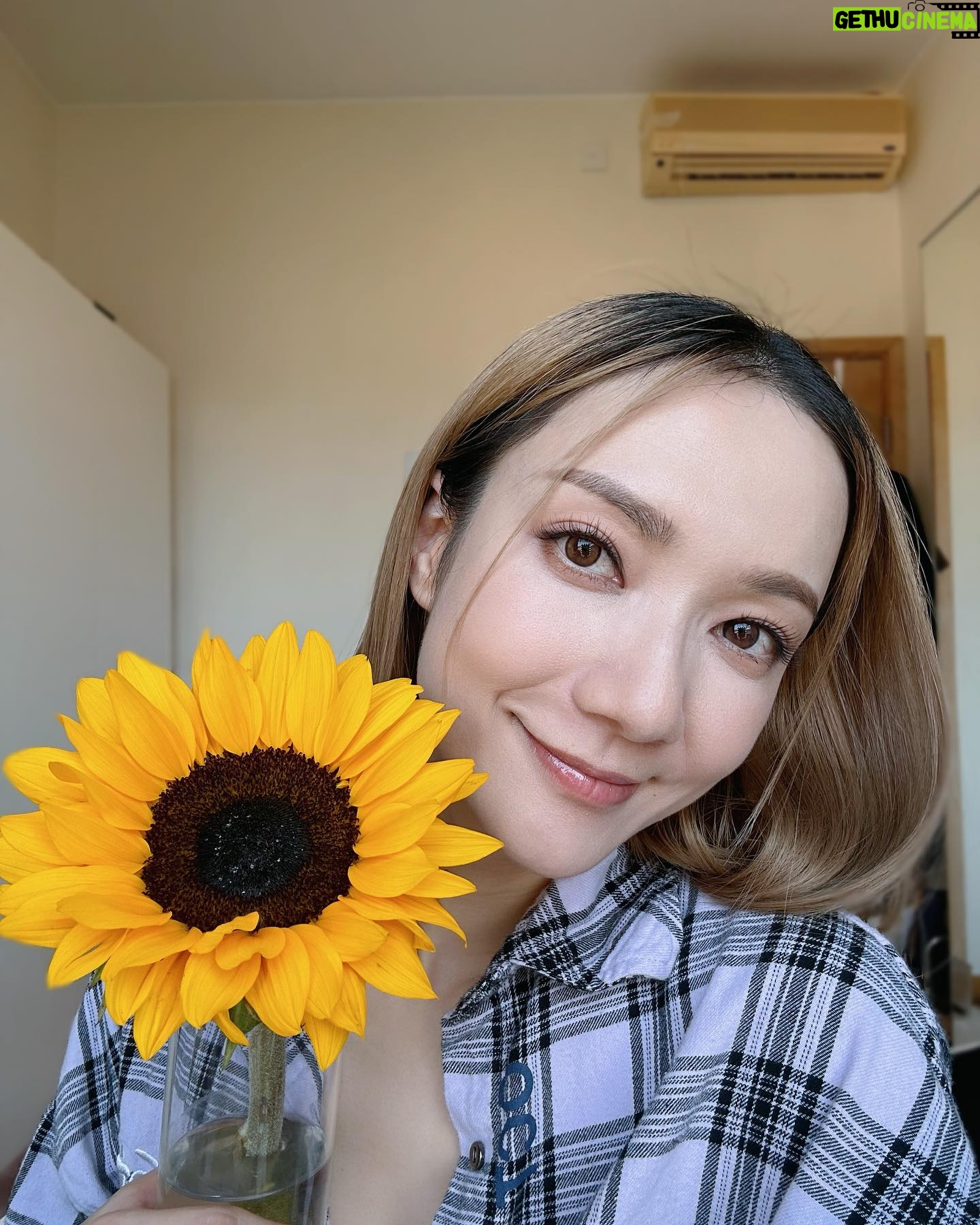 Grace Wong Instagram - Love buying myself a little flower to brighten up my day. 🌼 Btw, i have a new video out on Youtube sharing how to stay focused on God even when emotions go up n down. Yes I know, who feeelss me??? 😆🙋🏻♀️🙋🏻♀️🙋🏻♀️ Hope it encourages you n helps u to refresh yourself after a long weekend! 😇😘 😘😘😘 link on my bio ⬆️
