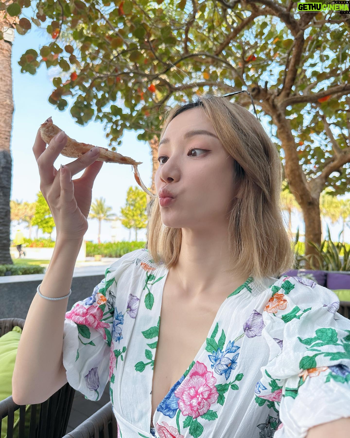 Grace Wong Instagram - See u next time Vietnam~!!! š„° Lovely food, lovely people! Happy to visit such a beautiful country with my new travel companions too ~ blue halogen luggage and shoulder bag šš¤š¦ Any other countries I should visit? š¤āļøš List ur recommendations in the comments šššššš @Tumitravel #Tumi #Tumihk #Tumi19D #TumiASRA
