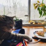 Gracie Gillam Instagram - *sleepily reaches for bread*