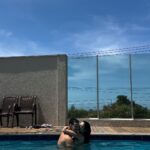 Graciely Junqueira Instagram – alguém mais aí é igual?