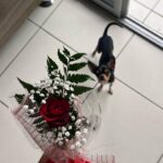Graciely Junqueira Instagram - Nesse Dump temos mt amor e Marcinho hahaha 🥹❤️