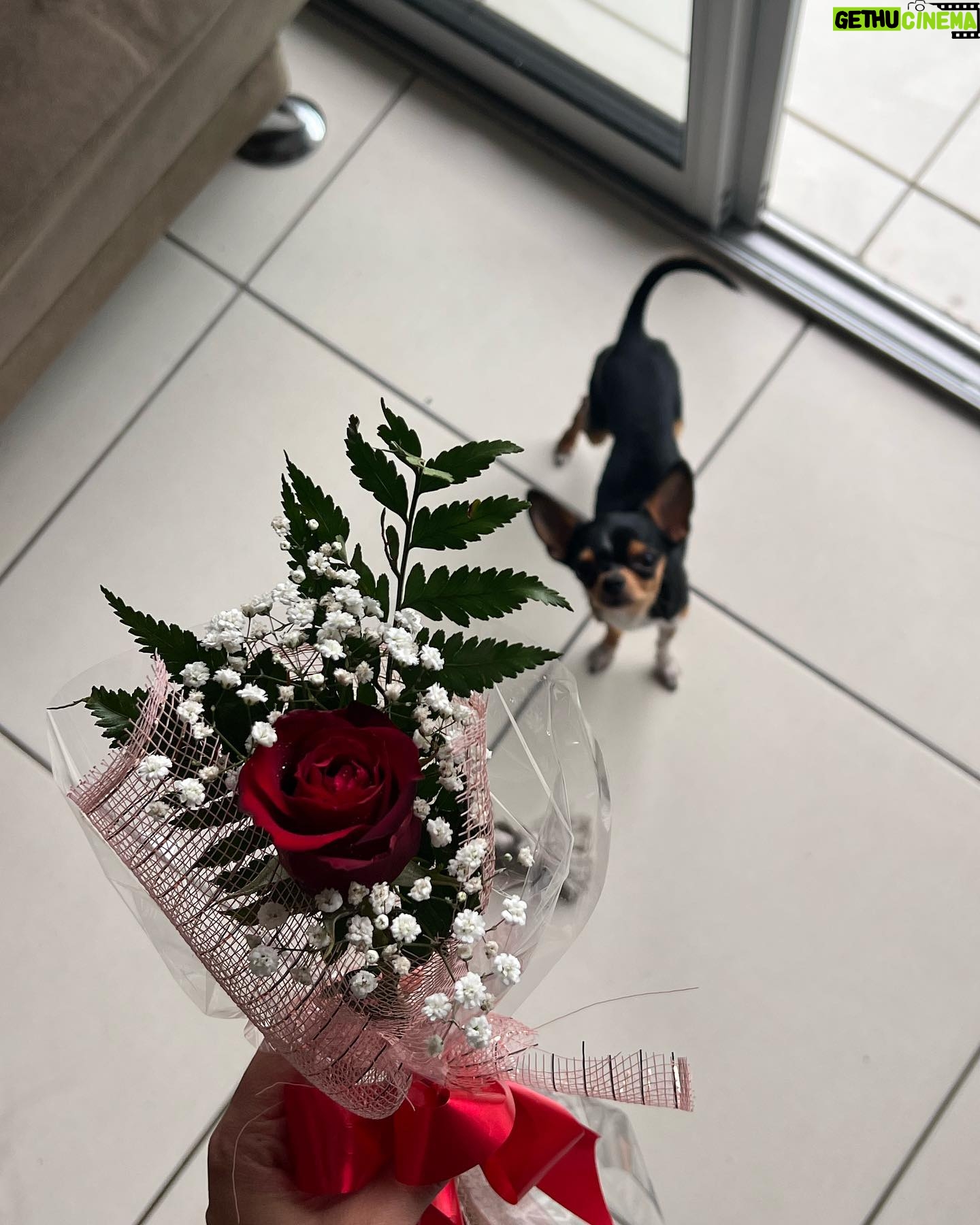 Graciely Junqueira Instagram - Nesse Dump temos mt amor e Marcinho hahaha 🥹❤️