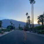 Greta Onieogou Instagram - palm springs takeover 🌴